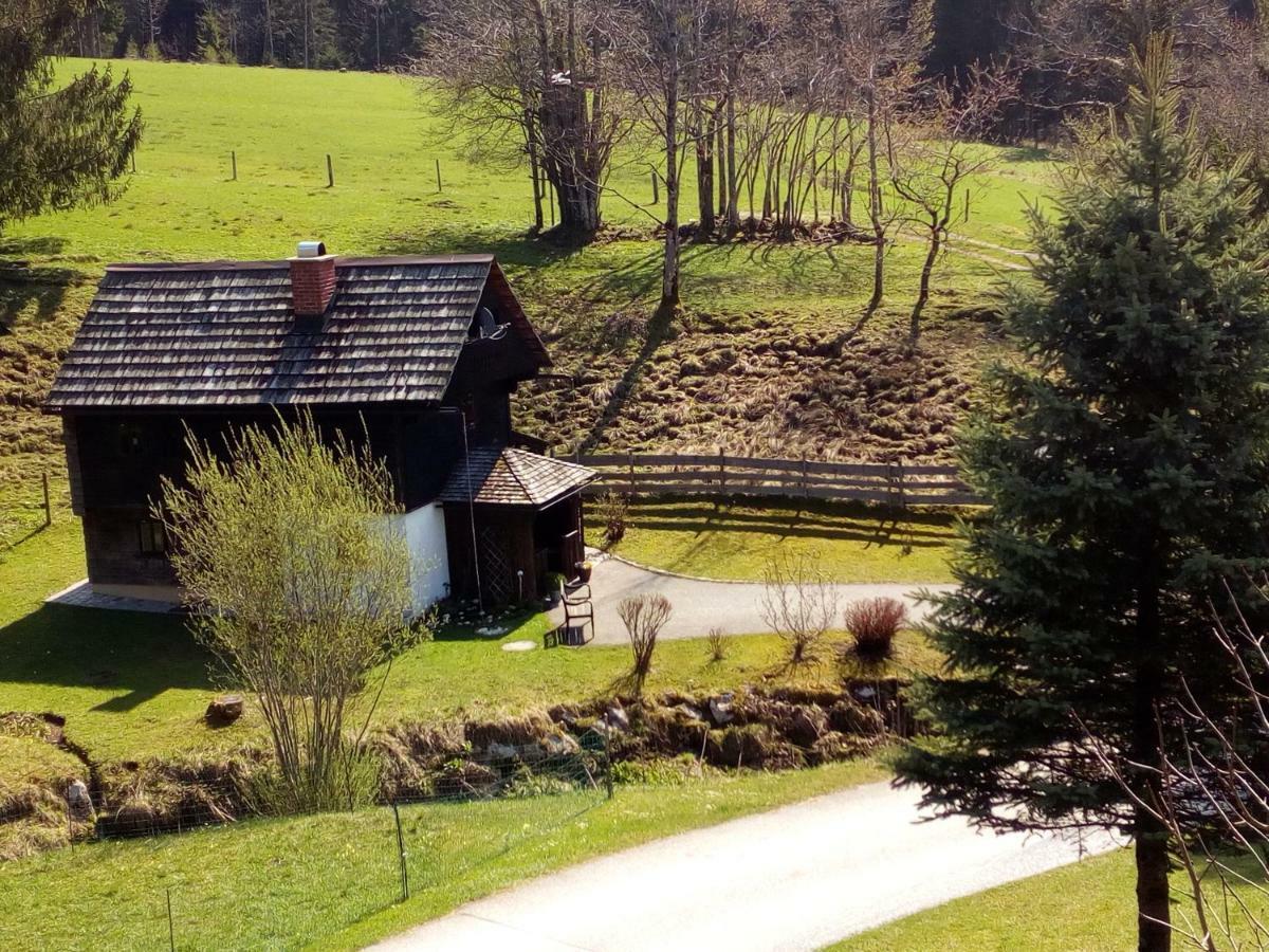 Ferienhaus "Badl" Villa Bad Goisern Exterior foto
